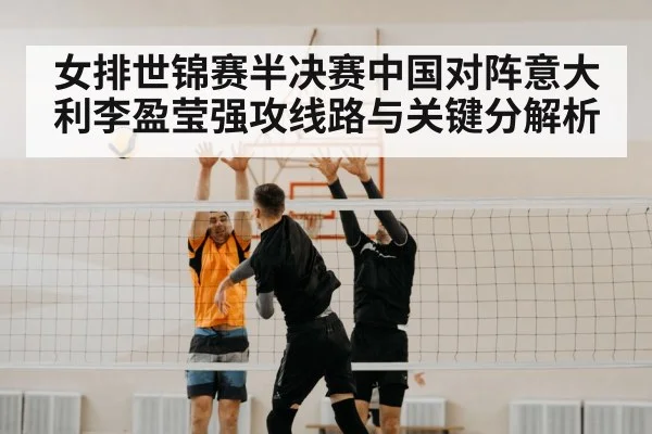 volleyball block net