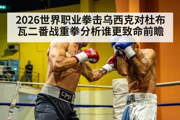 2026世界职业拳击乌西克对杜布瓦二番战重拳分析谁更致命前瞻